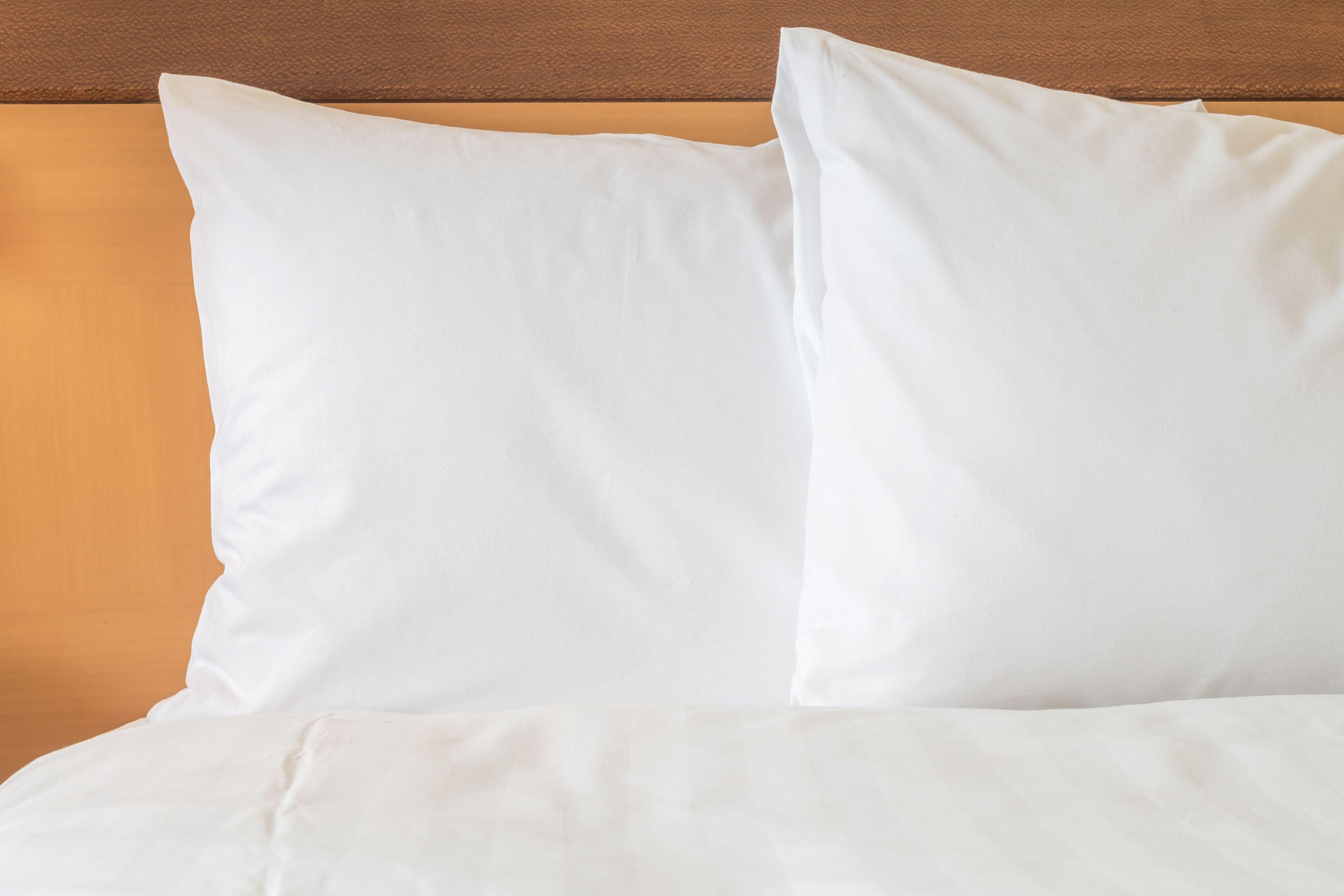 Holiday Inn Express South Burlington By Ihg Luaran gambar